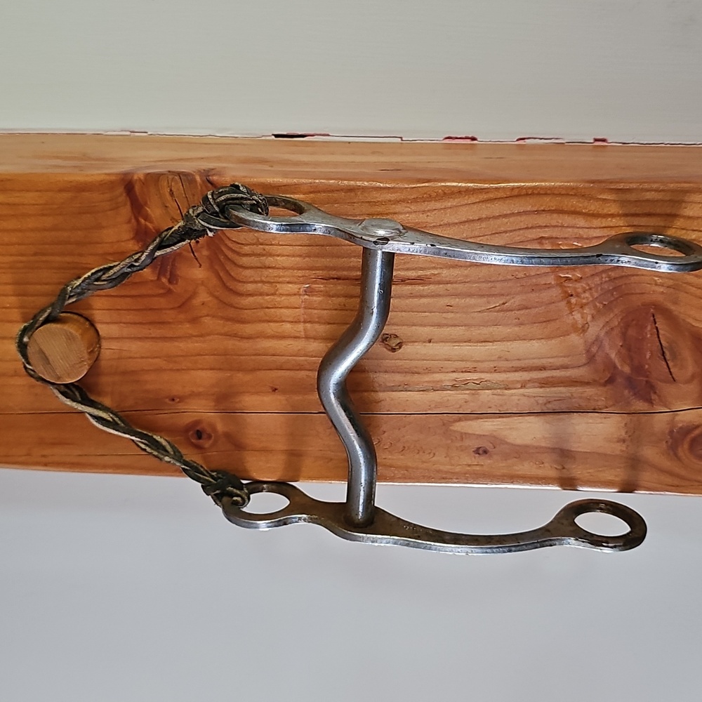 Vintage Silver and Brown Horse Bit
